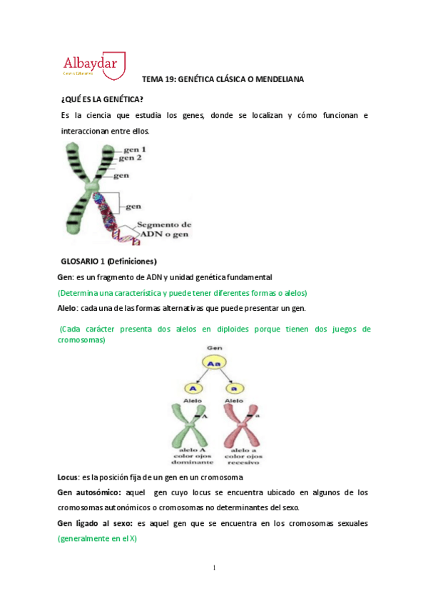 Miniatura del documento tema-19-genetica-clasica.pdf