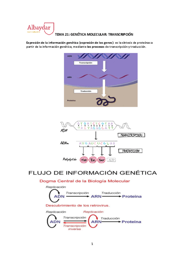 Miniatura del documento tema-21-transcripcion.pdf