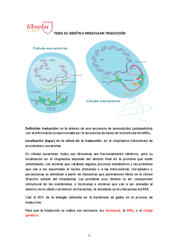 Miniatura del documento tema-22-traduccion.pdf