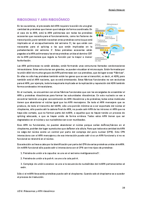 Miniatura del documento Tema-6.pdf
