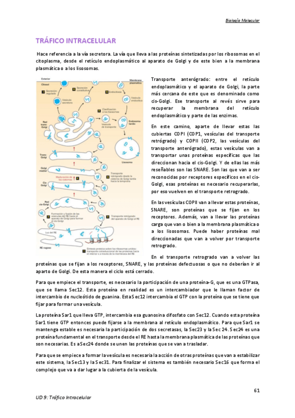 Miniatura del documento Tema-9.pdf