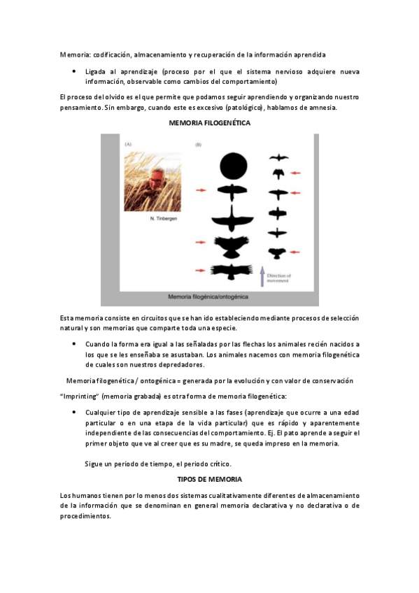 Miniatura del documento NEU-PW38MEMORIA.pdf