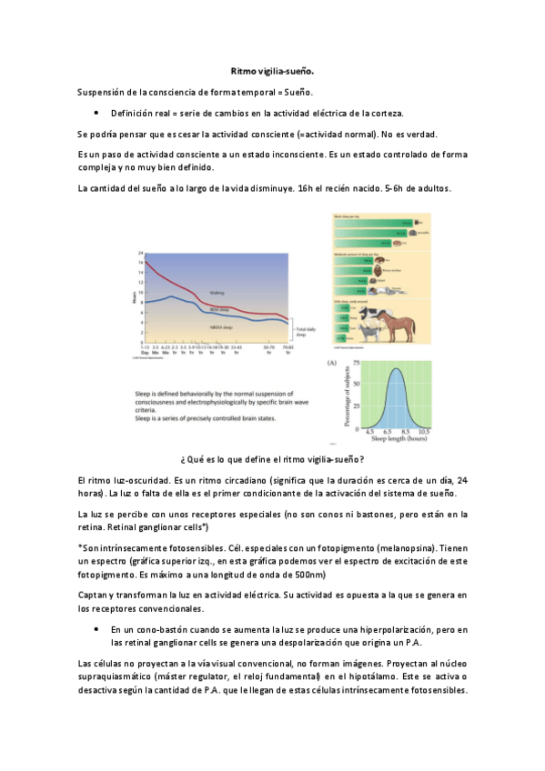 Miniatura del documento NEU-PW40-VIGILIA-SUENO.pdf