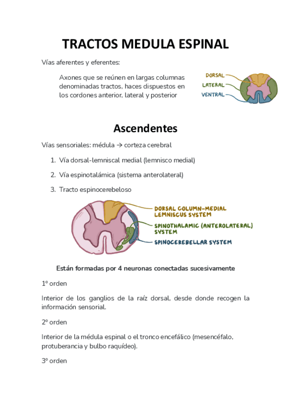Miniatura del documento NEU-TRACTOS.pdf