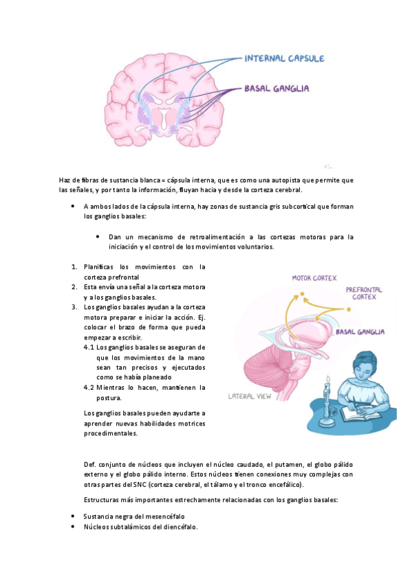 Miniatura del documento NEU-GANGLIOS-BASALES.pdf