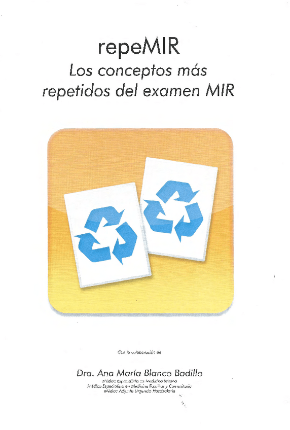 Miniatura del documento repemir.pdf