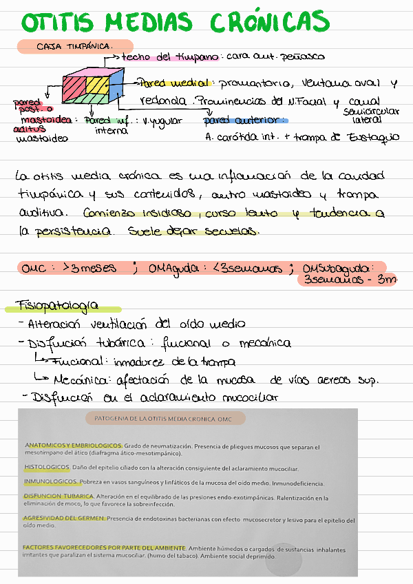 Miniatura del documento Otitis-media-cronica.pdf