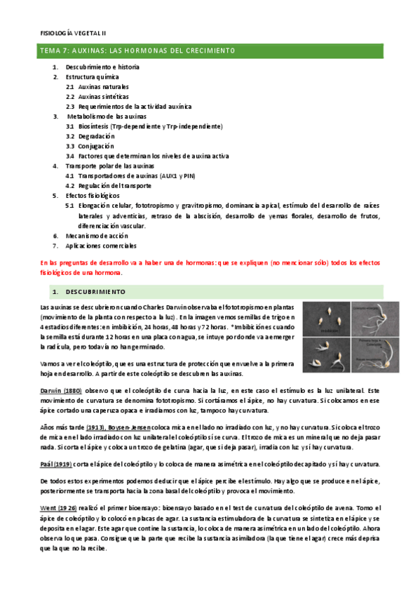 Miniatura del documento TEMA-7.pdf