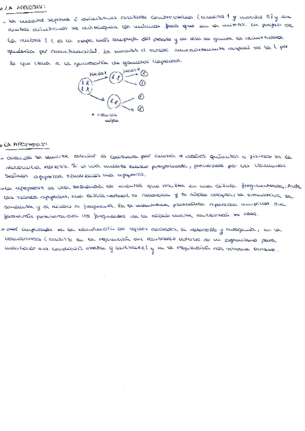 Miniatura del documento apuntes-biologia.pdf