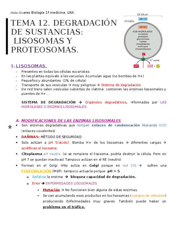 Miniatura del documento APUNTES-CON-ANOTACIONES-DE-CLASE-BIOLOGIA.docx
