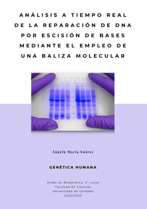 Miniatura del documento Memoria-de-practicas-GH.pdf