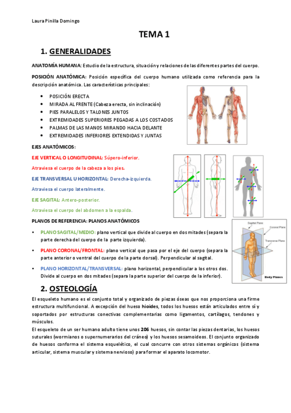 Miniatura del documento TEMA-1-Anatomia.pdf