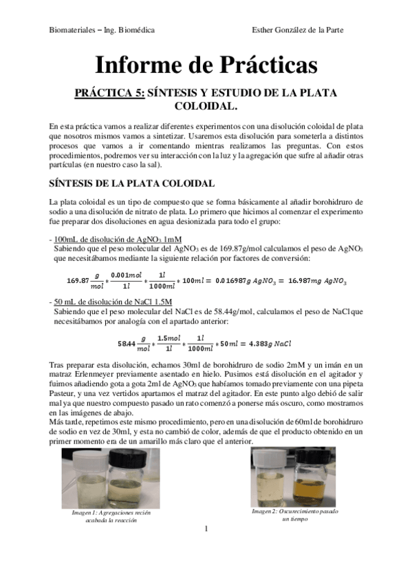 Miniatura del documento Informes-Bioforge.pdf