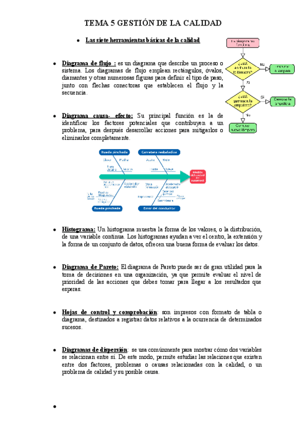Miniatura del documento TEMA-5-GESTION-DE-CALIDAD.pdf