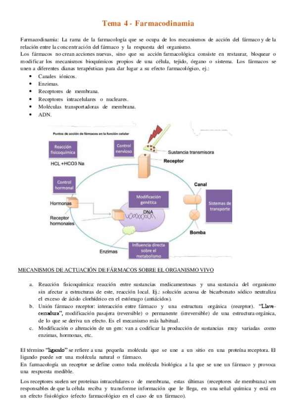 Miniatura del documento Tema-4.-Farmacodinamia.pdf