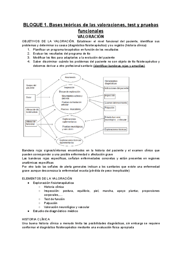 Miniatura del documento BLOQUE-IBase-teoricas-de-las-valoraciones-test-y-pruebas-funcionales.pdf