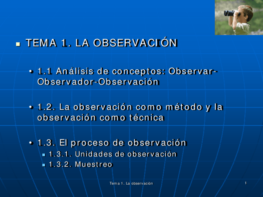 Miniatura del documento ppwts-Observacion.pdf