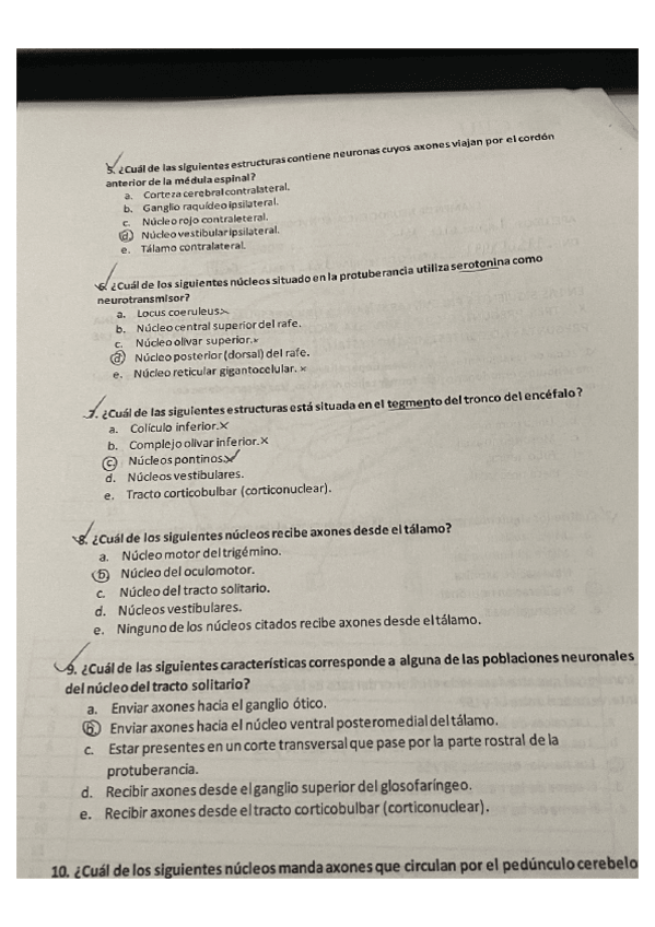 Miniatura del documento ordinaria.pdf