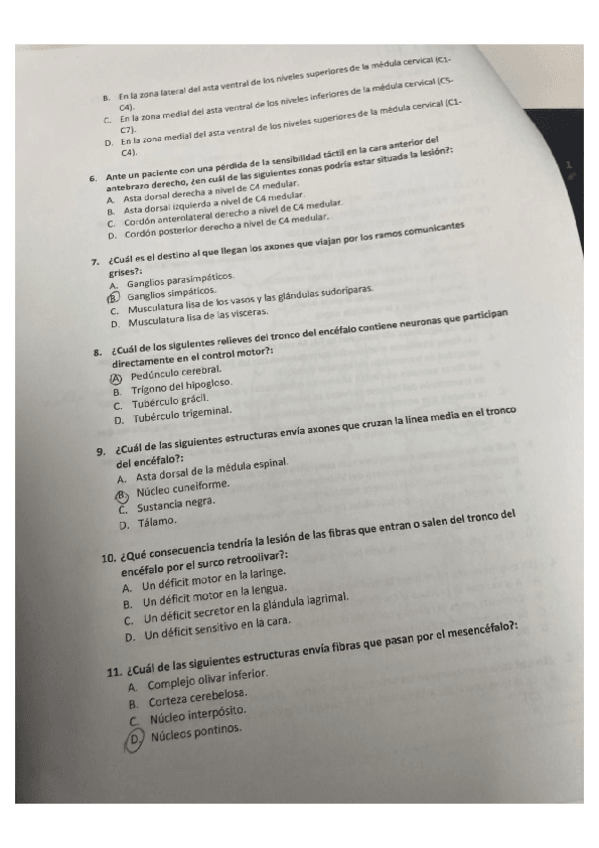 Miniatura del documento ordinario-2023.pdf