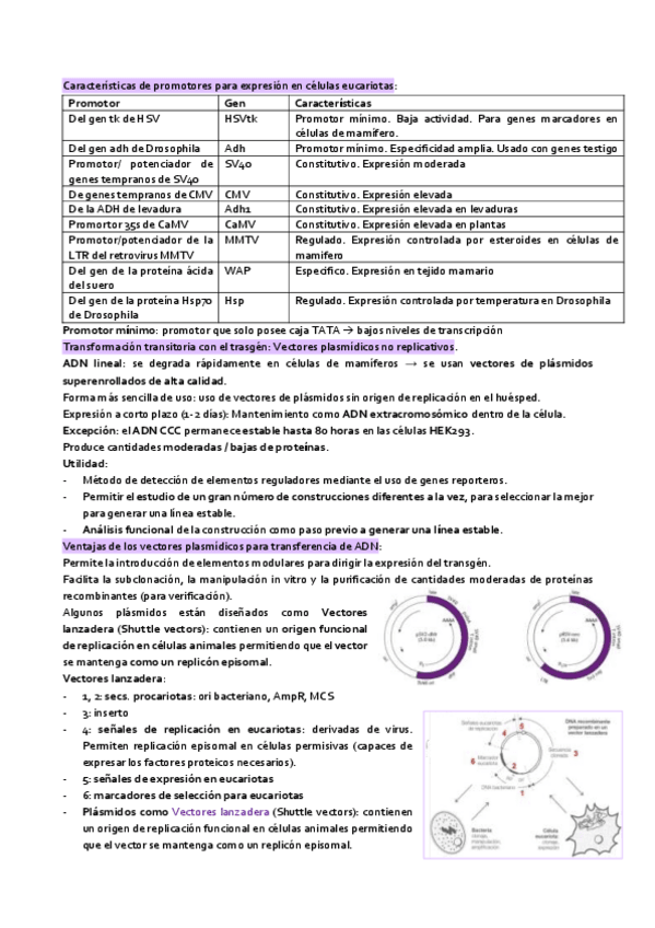 Miniatura del documento parte5-tema-3-IGM.pdf