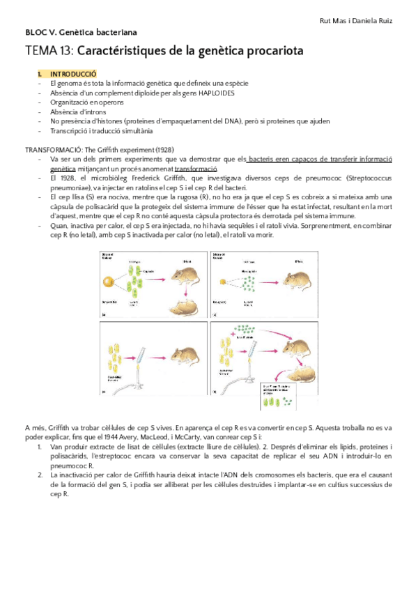Miniatura del documento MICROBIOLOGIA-1r-semestre-BLOC-5.pdf