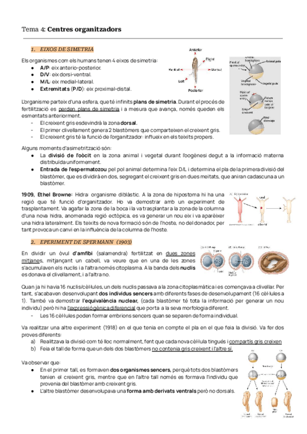 Miniatura del documento TEMAS-4-5-6-BIODES.pdf
