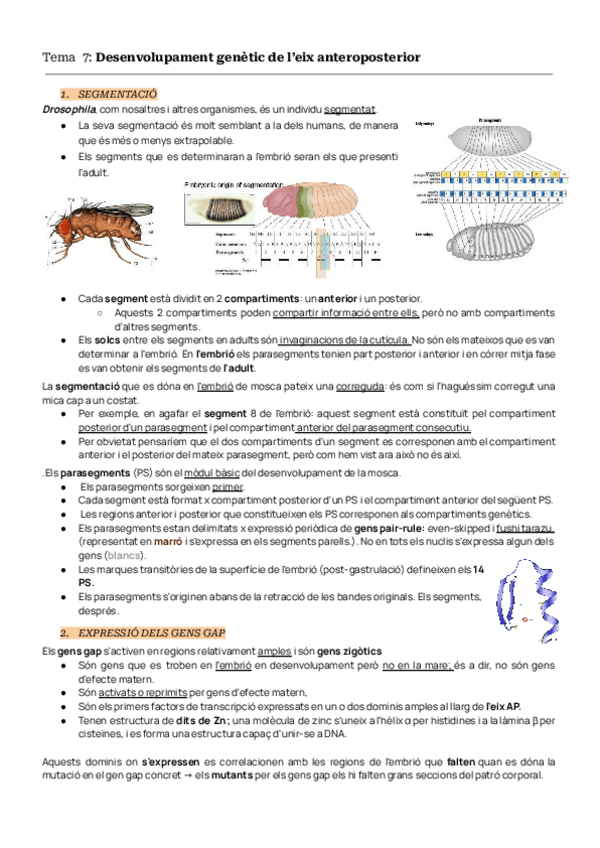 Miniatura del documento TEMAS-7-8-9-BIODES.pdf