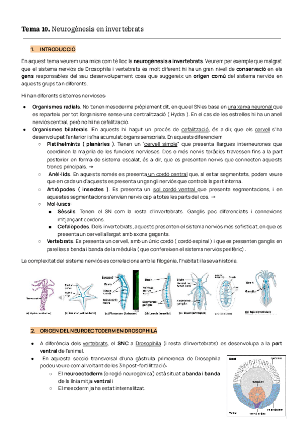 Miniatura del documento TEMAS-10-11-12-BIODES.pdf