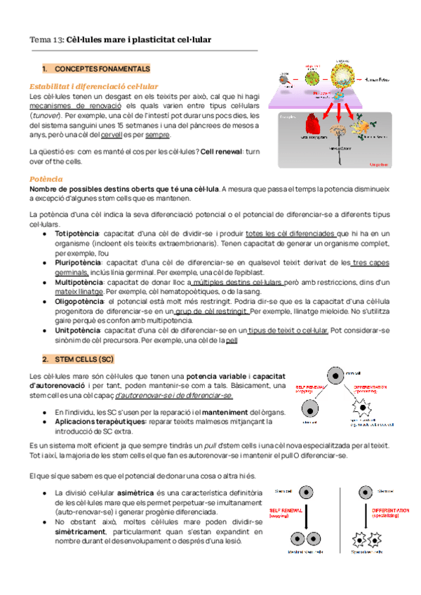 Miniatura del documento TEMAS-13-14-15-BIODES.pdf