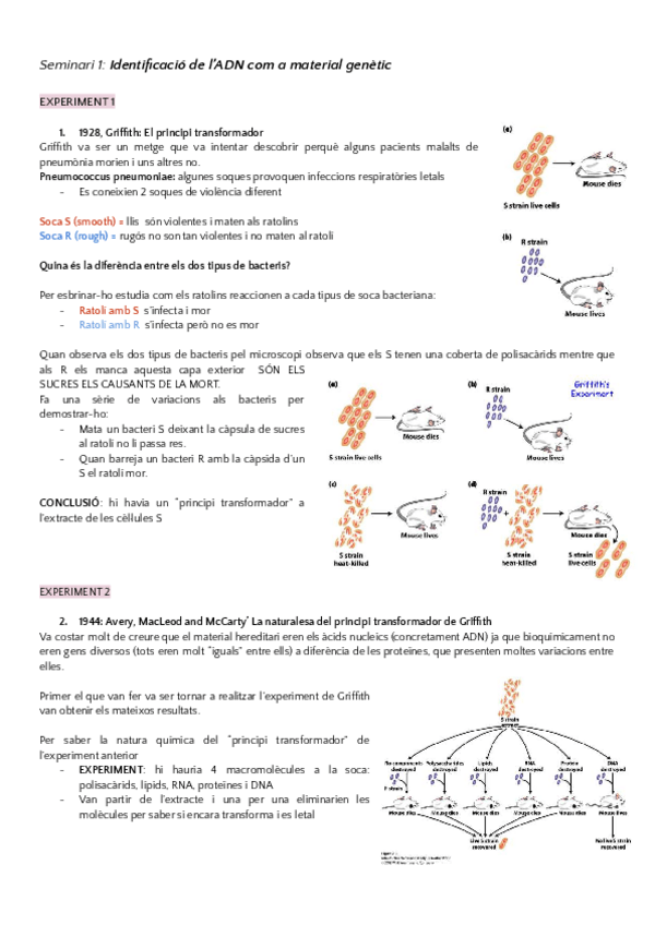 Miniatura del documento SEMINARIS.pdf