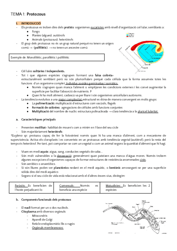 Miniatura del documento ZOOLOGIA-PRIMER-SEMESTRE.pdf