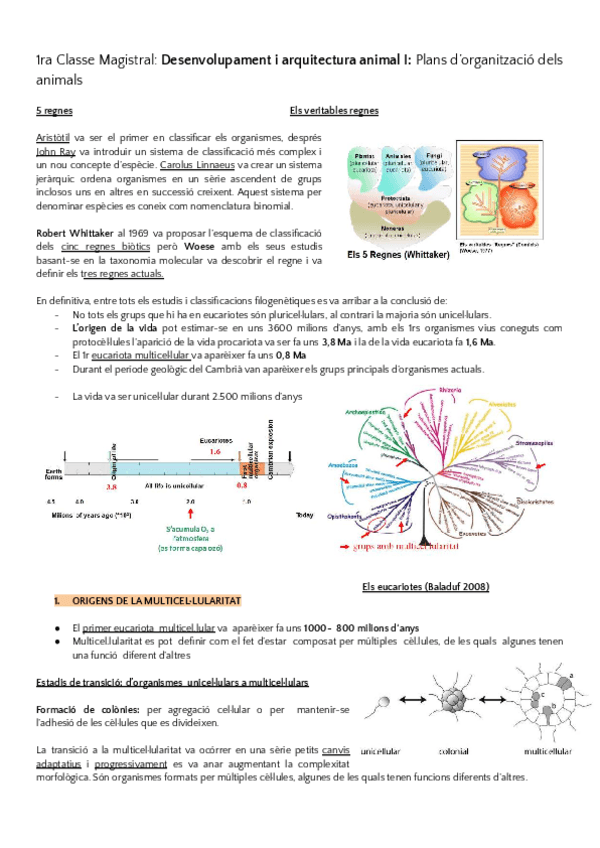 Miniatura del documento ZOOLOGIA. Classes Magistrals..pdf