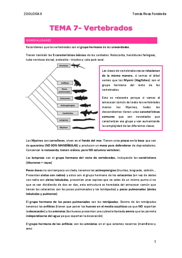 Miniatura del documento TEMA-7.pdf