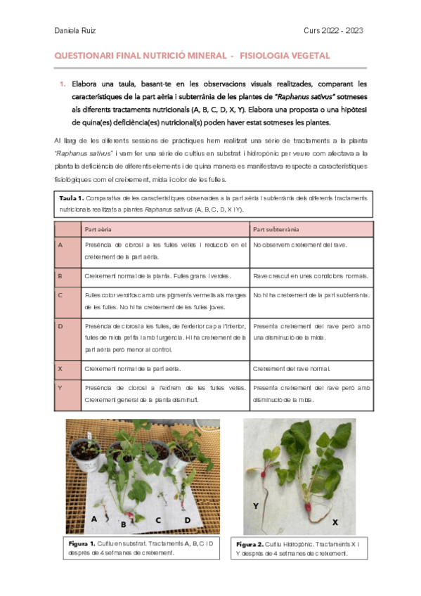 Miniatura del documento Nutricio-Questionari-Final-2021-2022.pdf
