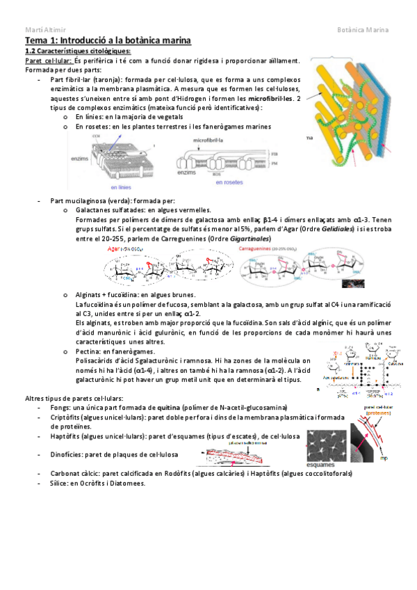 Miniatura del documento Bloc-1-Introduccio.pdf