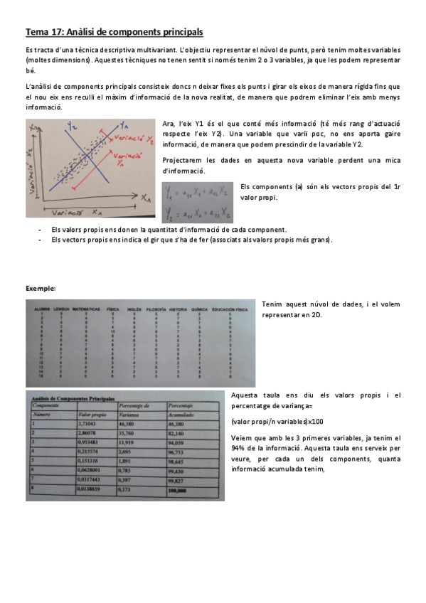 Miniatura del documento Tema-17-Analisi-de-components-principals.pdf