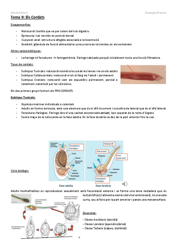 Miniatura del documento Tema-9-Cordats.pdf
