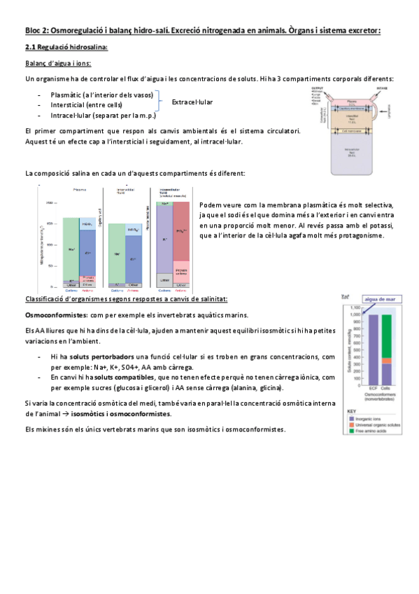 Miniatura del documento Bloc-2-Osmoregulacio.pdf