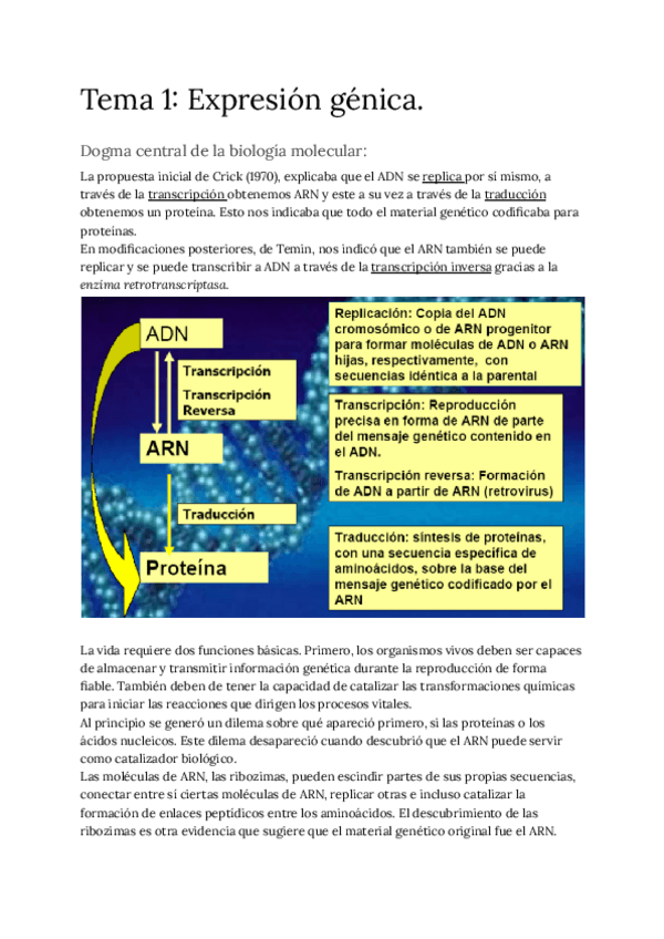 Miniatura del documento Tema-1.-Expresion-genica-1.pdf