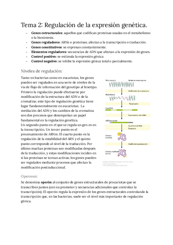 Miniatura del documento Tema-2-regulacion-de-la-expresion-genetica.pdf