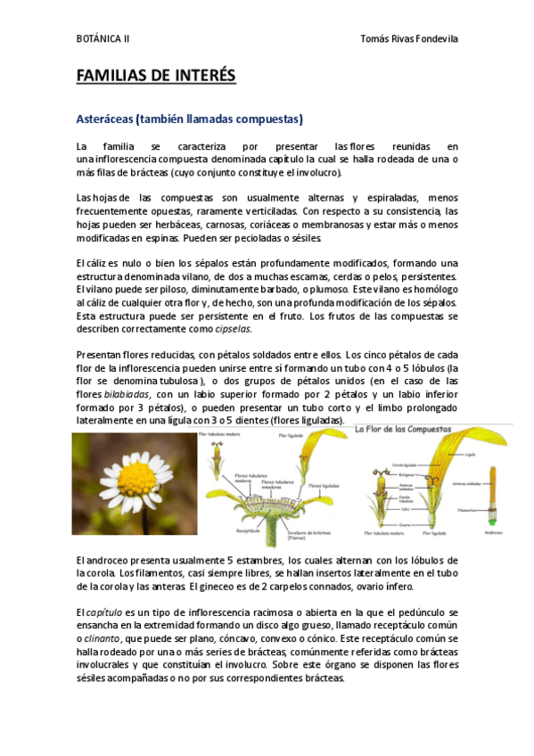 Miniatura del documento preparacion-examen-practicas-BOTANICA-II.pdf