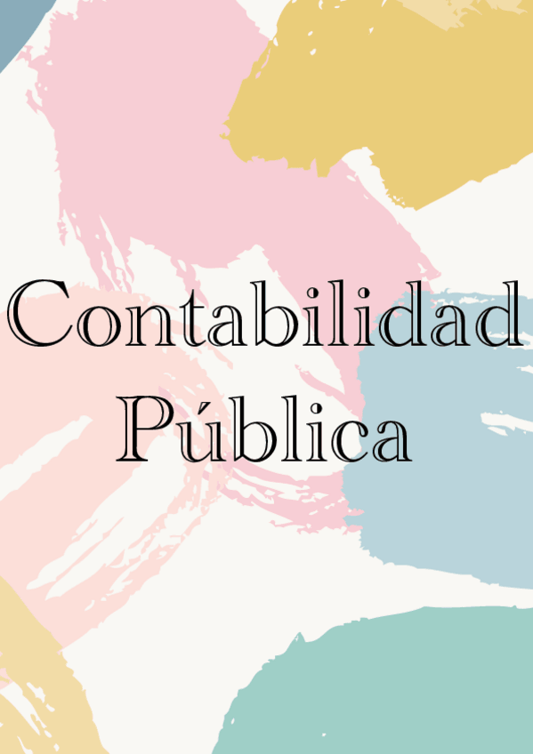 Miniatura del documento Apuntes-Contabilidad-Publica.pdf