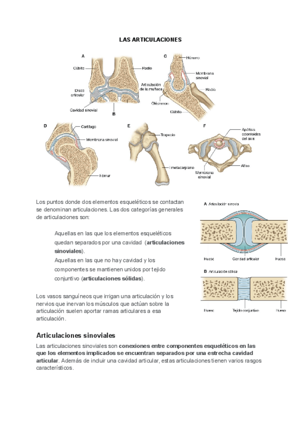 Miniatura del documento articulaciones.pdf