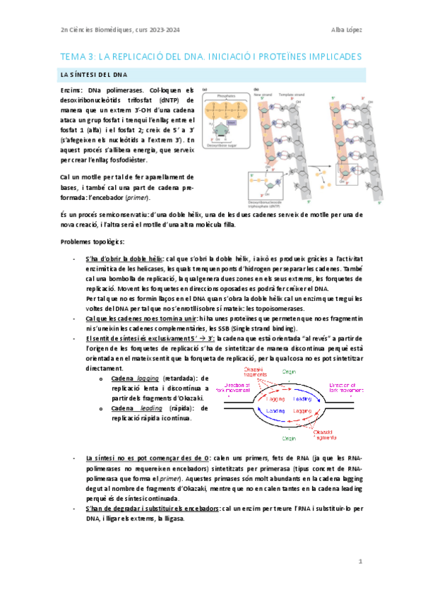 Miniatura del documento Tema-3-La-replicacio-del-DNA.-Iniciacio-i-proteines-implicacions.pdf