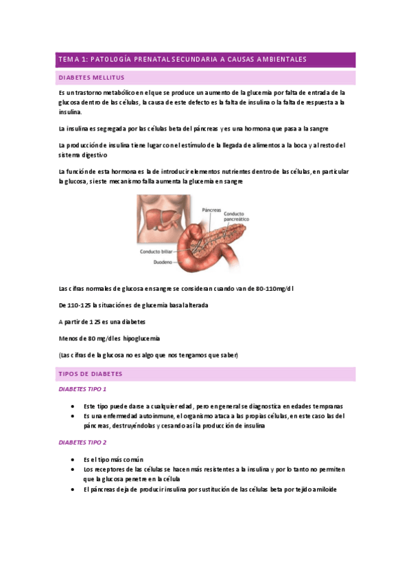 Miniatura del documento TEMA-1.pdf