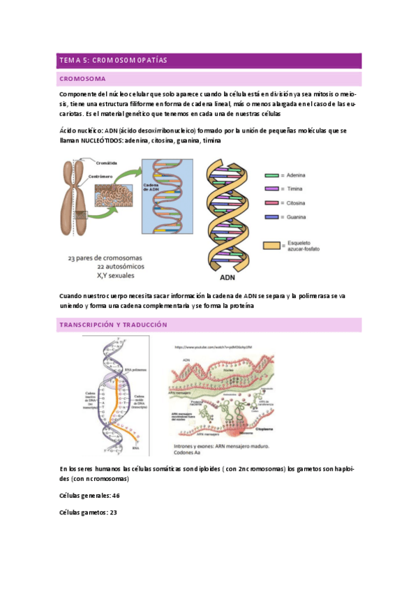 Miniatura del documento tema-5.pdf