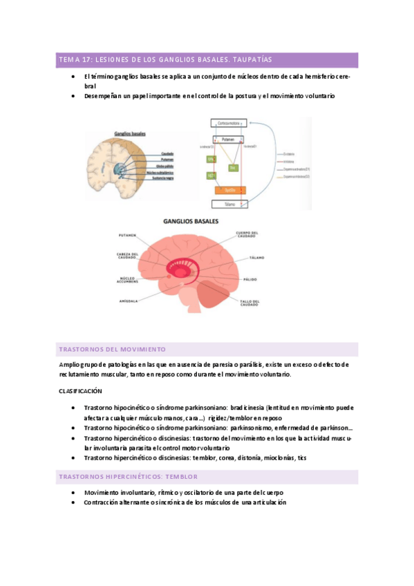 Miniatura del documento TEMA-17.pdf