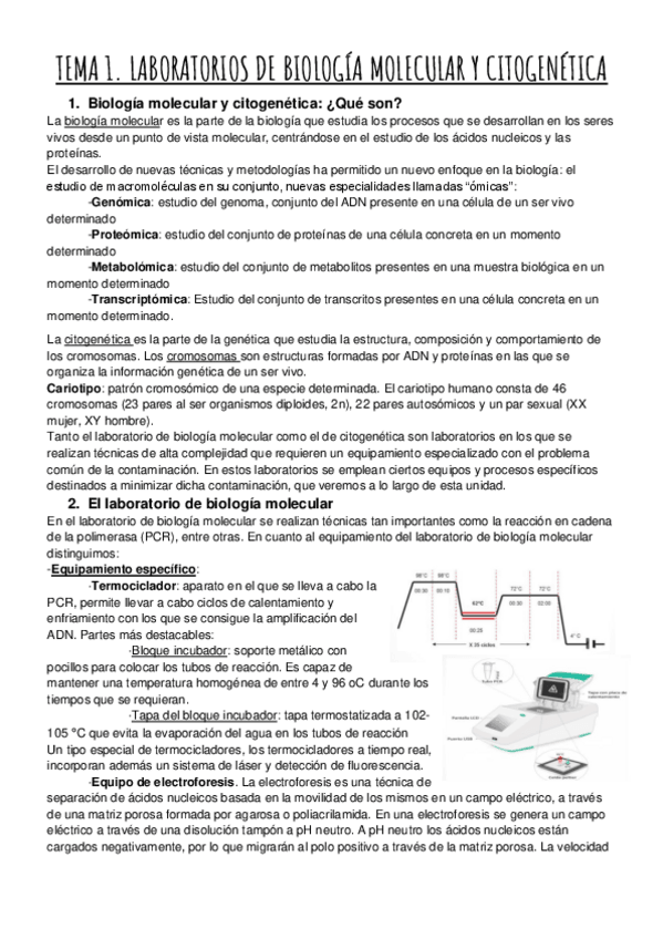 Miniatura del documento TEMA-1.-LABORATORIOS-DE-BIOLOGIA-MOLECULAR-Y-CITOGENETICA.pdf