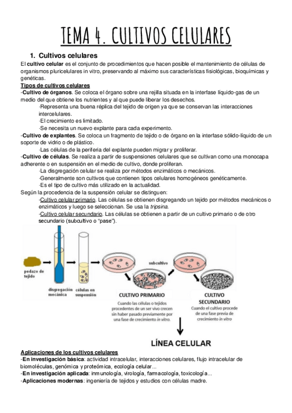 Miniatura del documento TEMA-4.-CULTIVOS-CELULARES.pdf