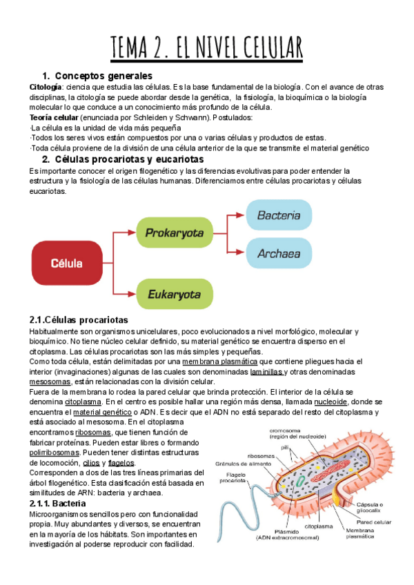 Miniatura del documento TEMA-2.-EL-NIVEL-CELULAR.pdf
